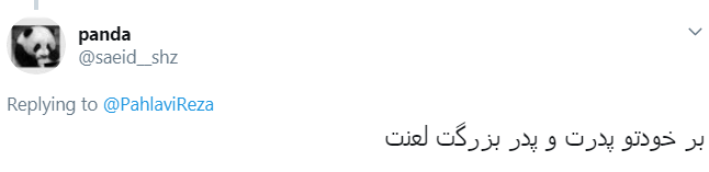 گزافه&zwnj;گویی ربع پهلوی کار دستش داد +تصویر