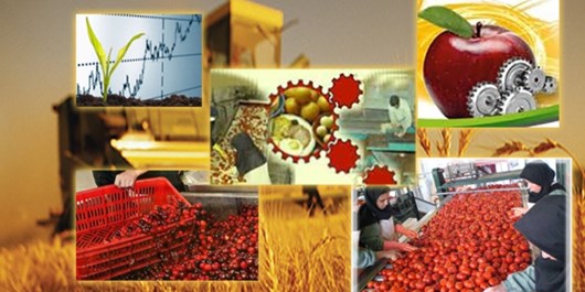 قیمت انواع نهاده های دامی و کشاورزی در بازار