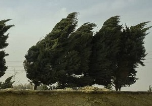 وزش باد شدید در نیمه شرقی و جنوبی استان سمنان