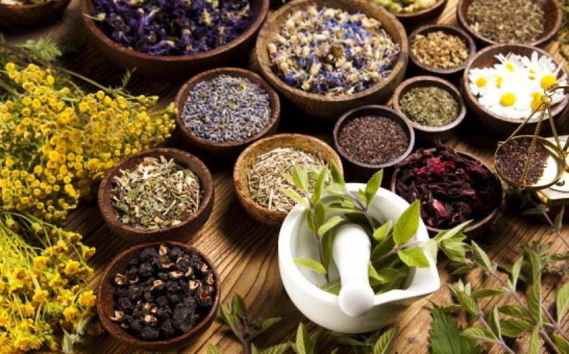 افزایش کشت گیاهان دارویی در اراضی کشاورزی