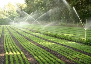برگزاری ۱۰ دوره آموزشی در سطح مراکز جهاد کشاورزی