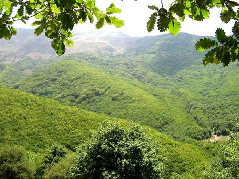 جنگل&zwnj;های ارسباران پذیرای گردشگران در فصل تابستان