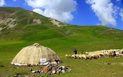 جنگل&zwnj;های ارسباران پذیرای گردشگران در فصل تابستان