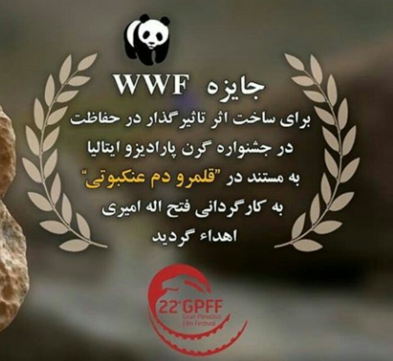 درخشش مستند ساز ایلامی در جشنواره