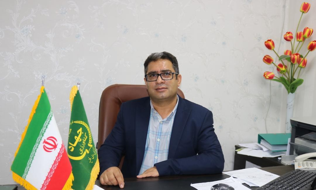 شناسایی  ۳۰۰ راس اسب در جنوب کرمان