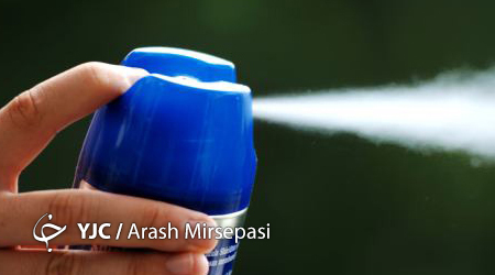 مسمومیت ۱۹ مسافر با حشره کش
