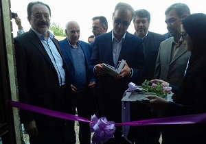 اراضی استان سمنان از آفت ملخ پاک‌سازی شدند