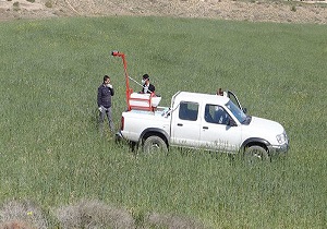 اراضی استان سمنان از آفت ملخ پاک&zwnj;سازی شدند