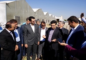 بازدید معاون وزیر کار از یک واحد تعاونی در آبیک