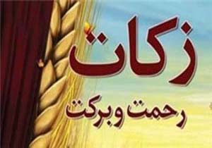 افزایش پرداخت زکات در هرمزگان