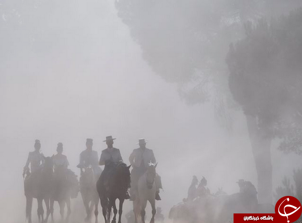عکس منتخب نشنال جئوگرافیک از سفر آئینی به El Roc&iacute;o در اسپانیا