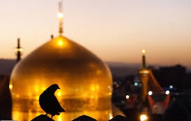 حرم امام رضا (ع) را مجازی زیارت کنید