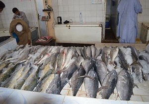 تولید یک میلیون بچه ماهی در سراوان