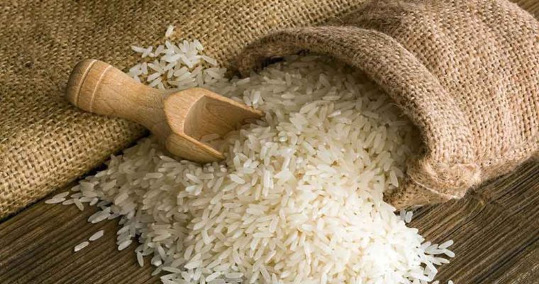 سوزاندن کاه و کلش، سناریوی تکراری در زمان دروی برنج/ جریمه نقدی و مجازات حبس در انتظار شالیکاران متخلف