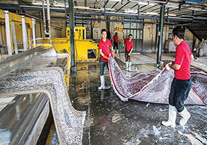قالیشویان در مهاباد قانونمند می‌شوند