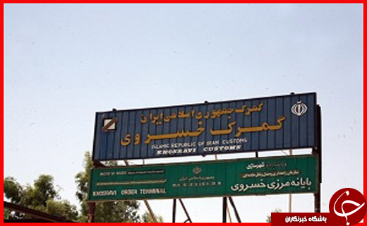 نتیجه آمد و شد مسئولان به کجا رسید؟/قطع درختان ۵۰۰ ساله بلوط به خاطر هیچ و پوچ/