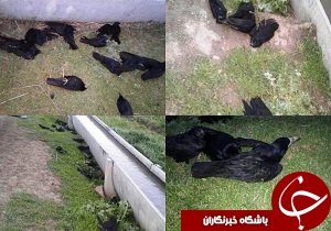 نتیجه آمد و شد مسئولان به کجا رسید؟/