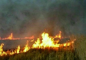 درخواست کمک امام جمعه تبریز از وزیر دفاع و رئیس ستاد بحران کشور برای اطفای آتش جنگل&zwnj;های ارسباران