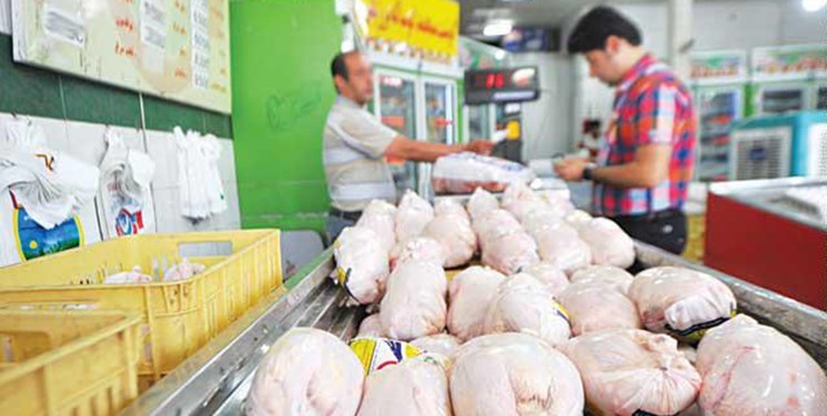 ضرب الاجل یک ماهه استاندار کهگیلویه و بویراحمد برای تغییرات در بازار مرغ