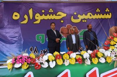 برگزاری جشنواره گردو در بافت/ باید ارقام جدید گردو معرفی شود
