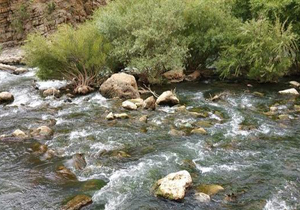 پیش بینی وزش باد در چهارمحال و بختیاری