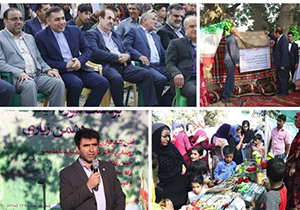 جشن شکرگزاری برداشت غوره در فارس