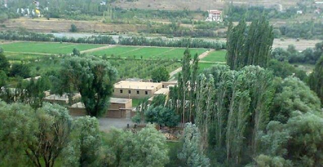 مردمانی که فقط می&zwnj;خواهند از تکنولوژی دور باشند
