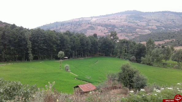 مراسم سینه&zwnj;زنی شب اول محرم در روستای طزره/ نمایی از طبیعت جذاب در &laquo;ولامده&raquo; + فیلم و تصاویر