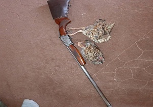 شکارچیان دراج با دستان بسته