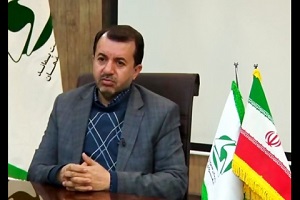 بازی و کتاب با چاشنی محیط زیست