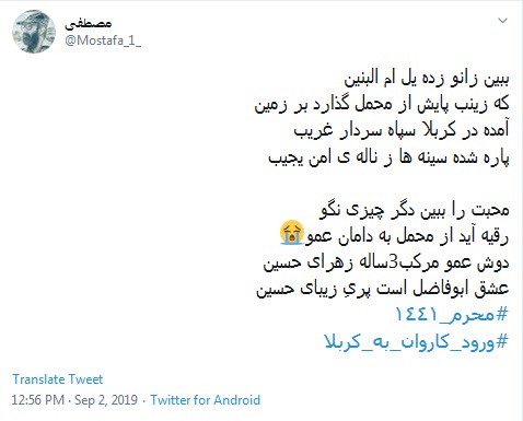 #ورود_کاروان_به_کربلا / کاروان در دل صحراست خدا رحم کند + تصاویر