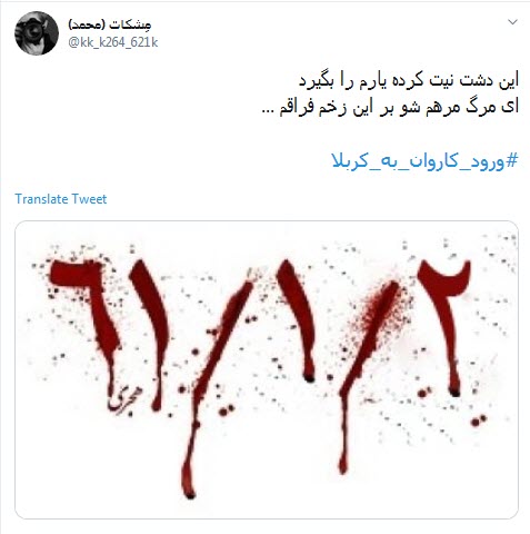 #ورود_کاروان_به_کربلا / کاروان در دل صحراست خدا رحم کند + تصاویر