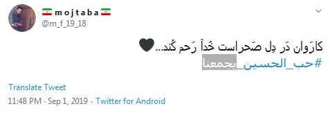 #ورود_کاروان_به_کربلا / کاروان در دل صحراست خدا رحم کند + تصاویر