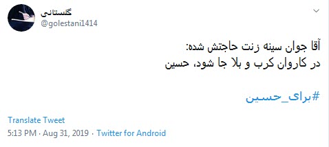 #ورود_کاروان_به_کربلا / کاروان در دل صحراست خدا رحم کند + تصاویر