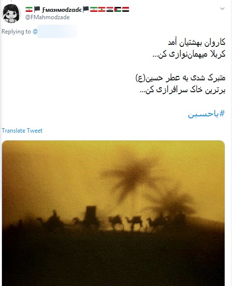 #ورود_کاروان_به_کربلا / کاروان در دل صحراست خدا رحم کند + تصاویر