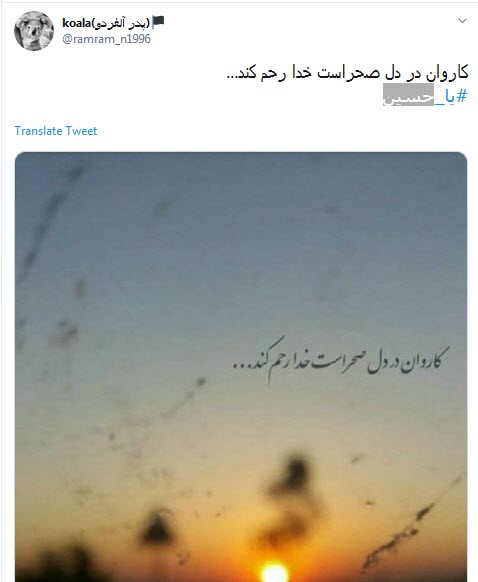 #ورود_کاروان_به_کربلا / کاروان در دل صحراست خدا رحم کند + تصاویر