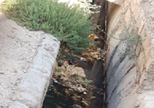 بهداشت نامناسب جوی آب در کوهدشت + فیلم