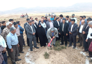 بند خاکی حوزه امام قیس شهرستان بروجن ساخته می‌شود