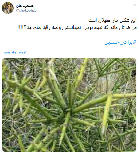 محرم آمد و دل می تپد #برای_حسین؛ شعار بزم سخن نام دلگشای حسین