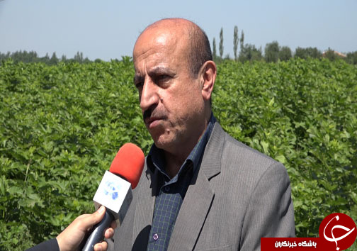 یک دست هم گاهی صدا دارد