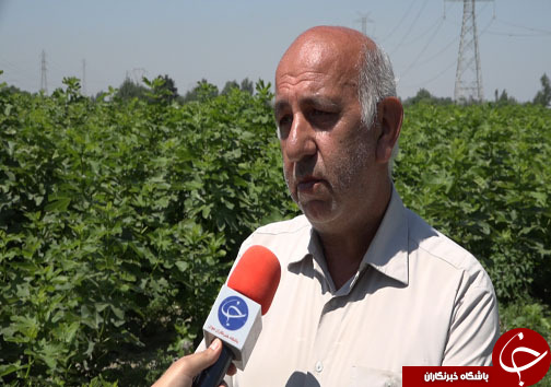 یک دست هم گاهی صدا دارد