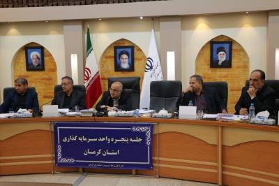 تاکید استاندار کرمان بر تسهیل روند سرمایه گذاری