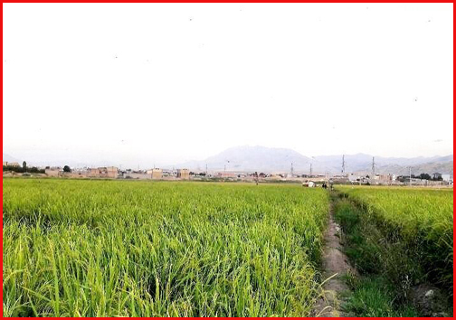 آنچه در استان ها گذشت؛