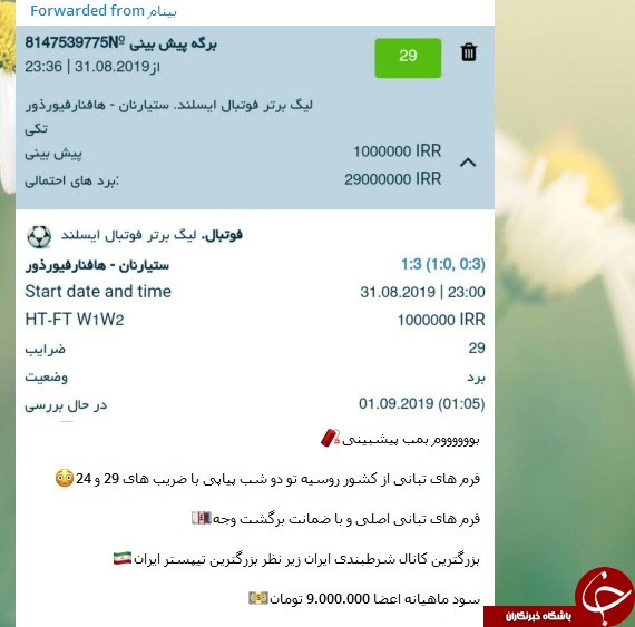 شاخ&zwnj;های اینستاگرامی و رقاصه&zwnj;های نیمه برهنه، داغ کنندگان بازار سیاه قمار در شبکه&zwnj;های اجتماعی +تصاویر