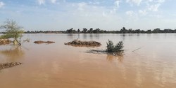صدایی دلنشین که نویدبخش خبری شیرین است + فیلم