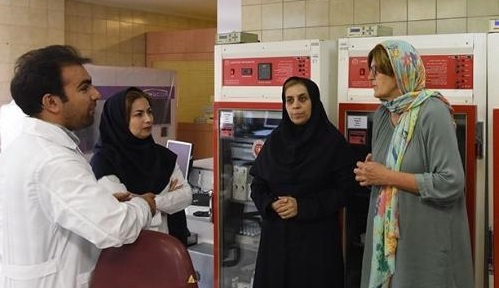 مسئول بانک خون بند ناف هلند برای همکاری با سازمان انتقال خون ایران اعلام آمادگی کرد