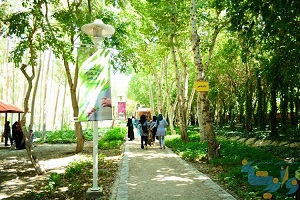 از کافی‌شاپ گیاهی تا پخت انواع نان