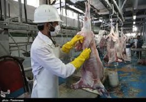 ذبح دام در معابر خطر جدی برای عموم شهروندان