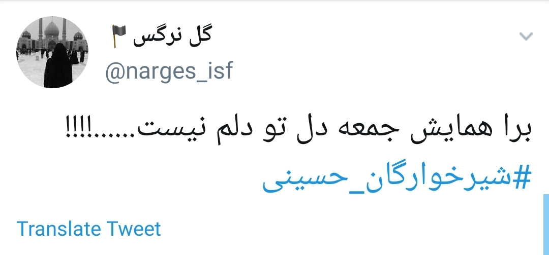 #شیرخوارگان_حسینی /