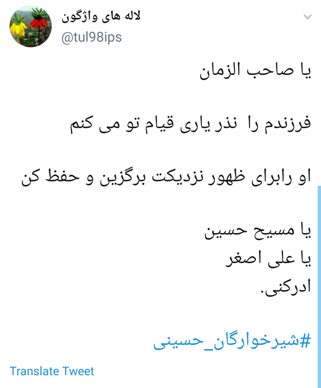 #شیرخوارگان_حسینی /